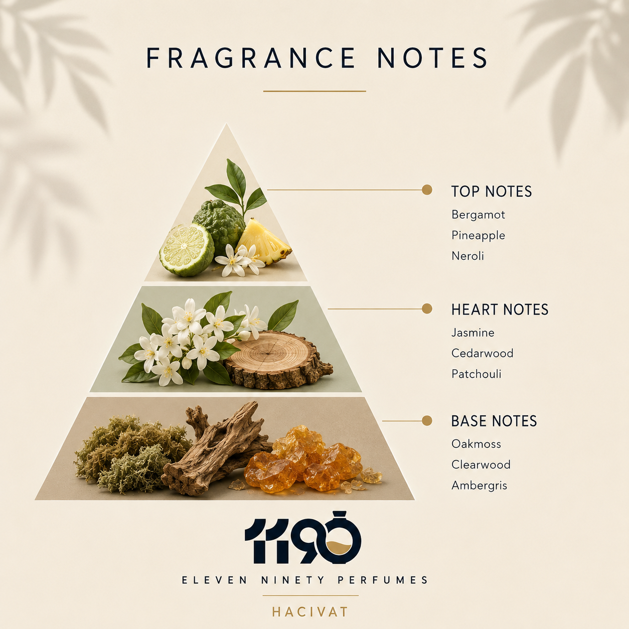 100 ML